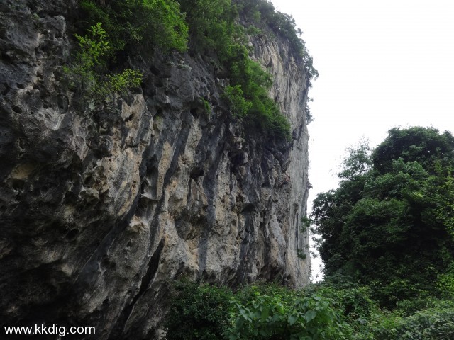 DSC03515