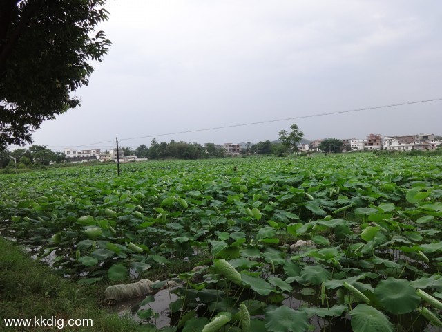 DSC03551
