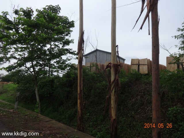DSC03630