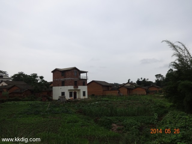 DSC03631