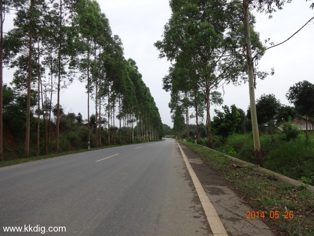 DSC03645