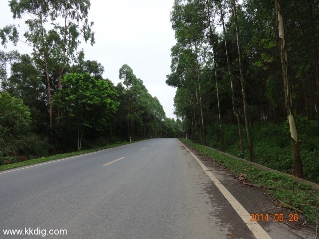 DSC03646