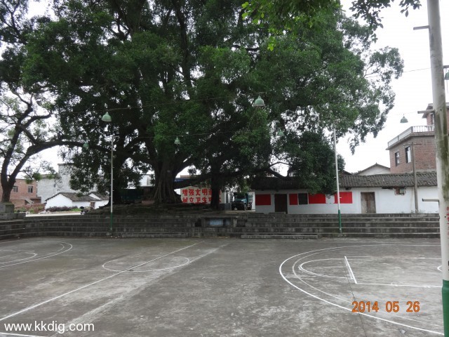 DSC03664