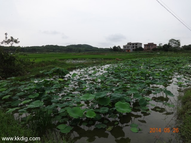 DSC03675