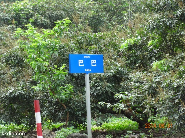 DSC04219
