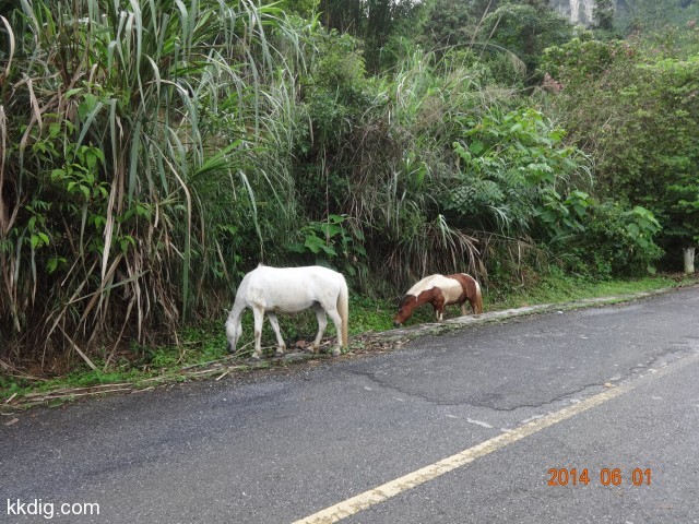DSC04291