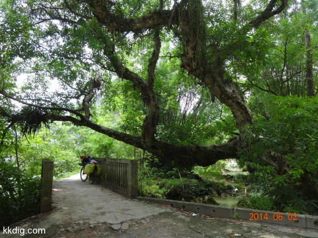 DSC04414