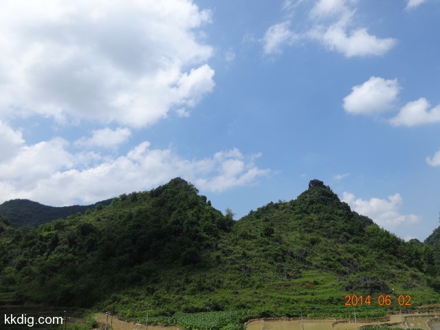 DSC04445