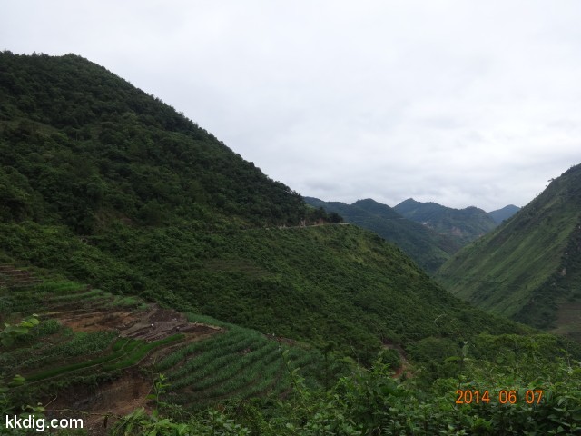 DSC05025