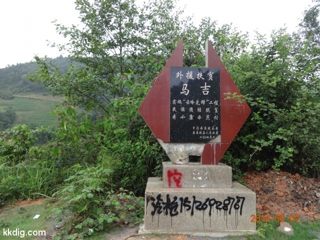 DSC05031
