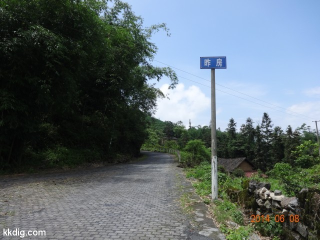 DSC05237