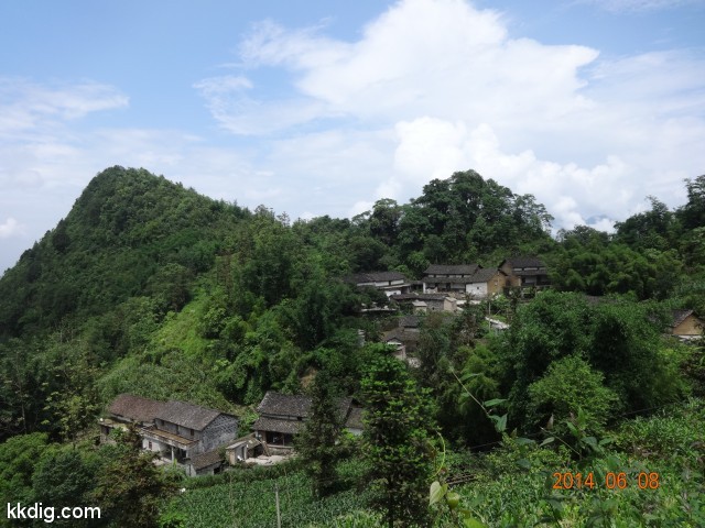 DSC05239