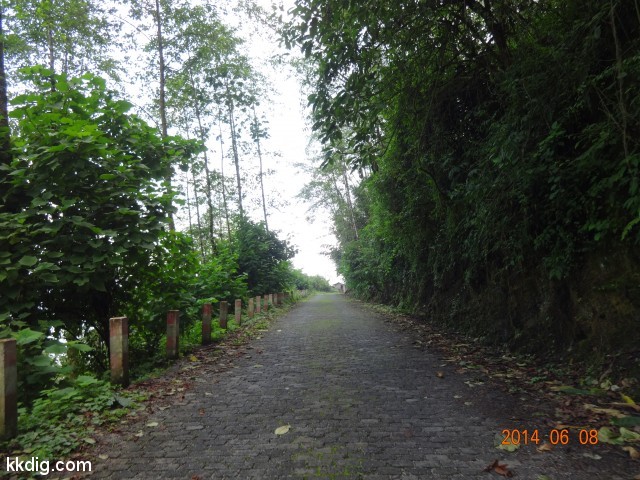 DSC05250