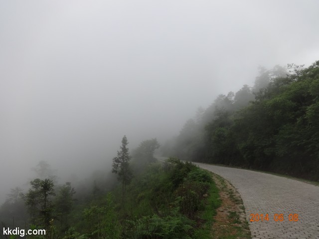DSC05287