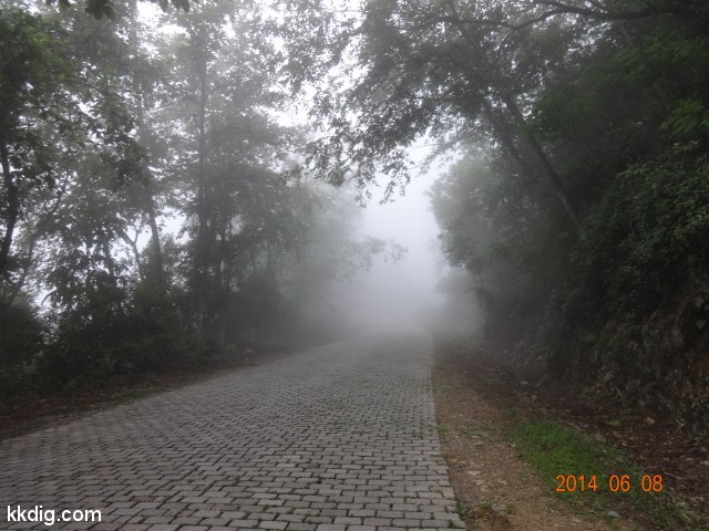 DSC05293