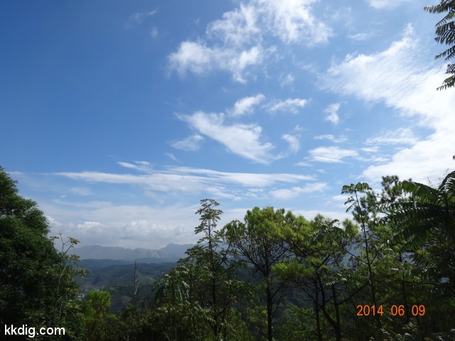 DSC05336