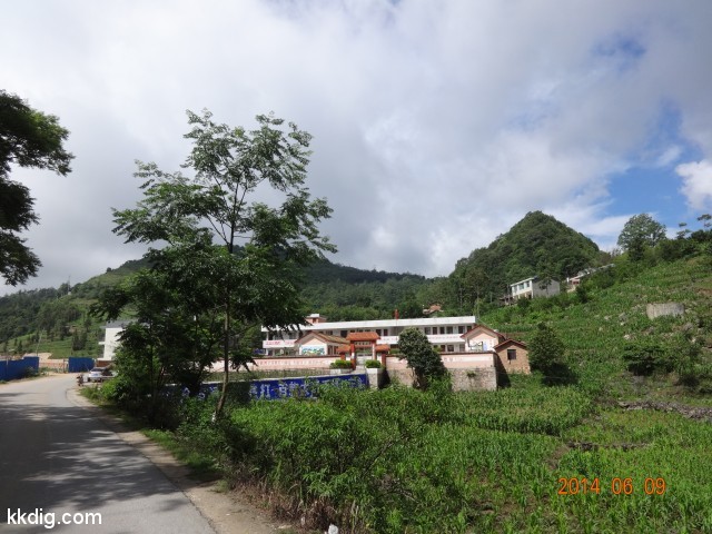 DSC05338