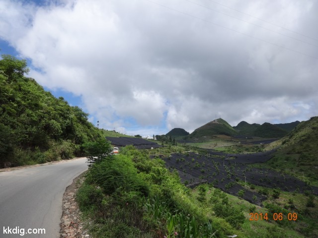 DSC05340