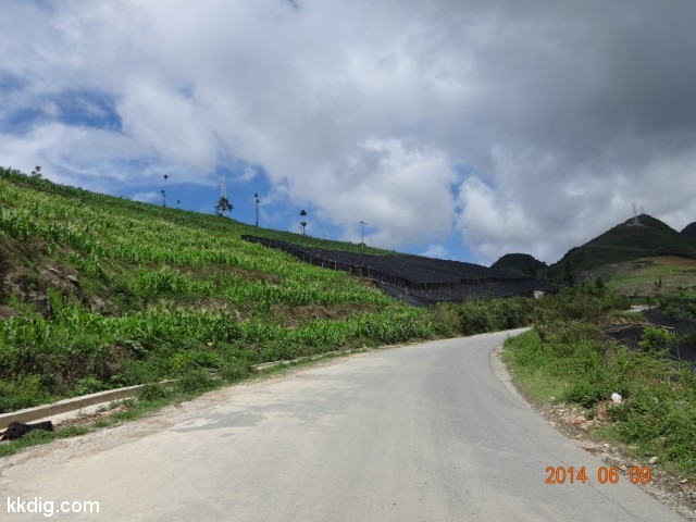 DSC05341