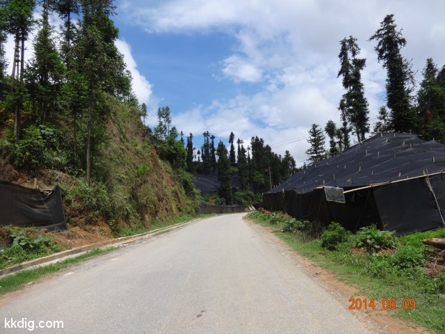 DSC05371