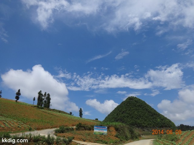 DSC05384