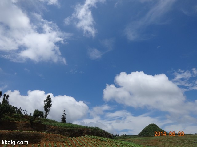 DSC05385