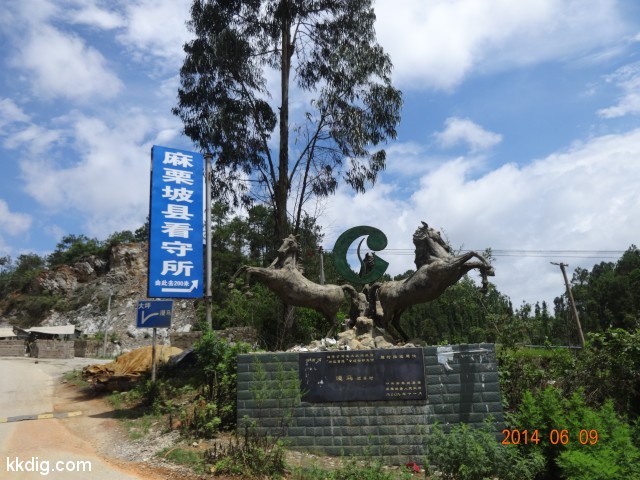 DSC05391