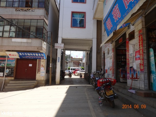 DSC05410