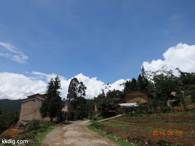 DSC05429