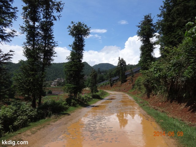 DSC05431