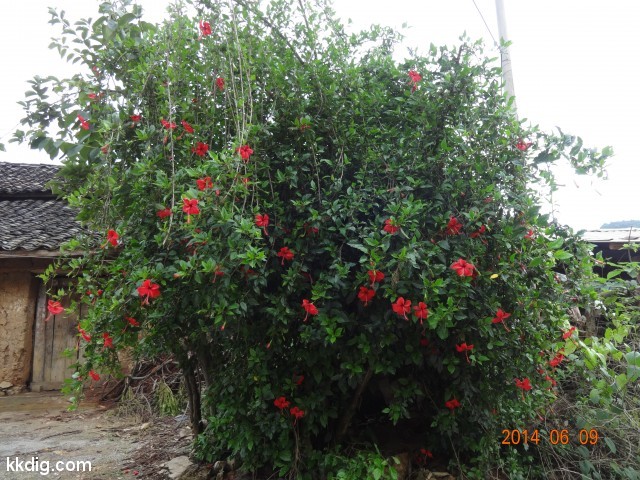 DSC05488