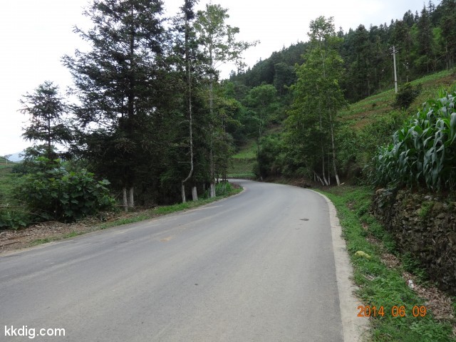 DSC05525