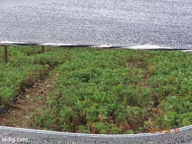 DSC05650
