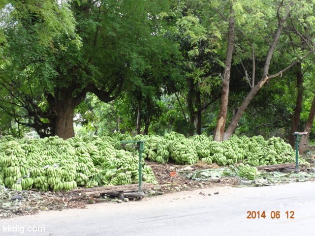 DSC06057