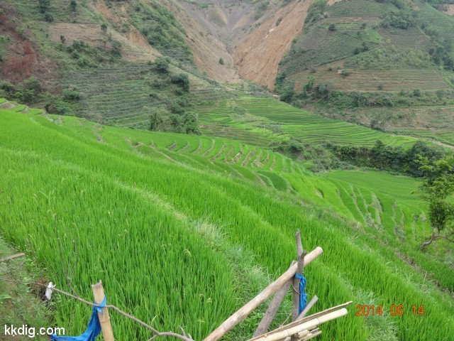DSC06277