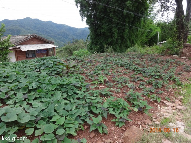 DSC06685