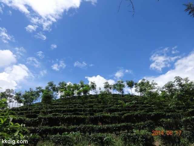 DSC06838