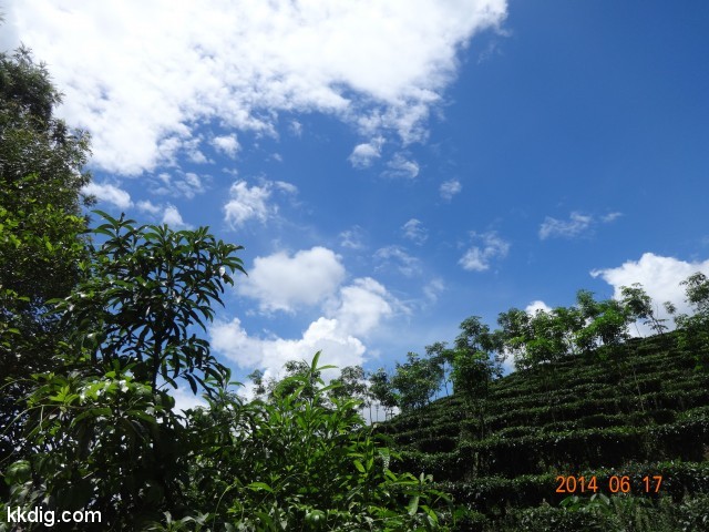 DSC06840
