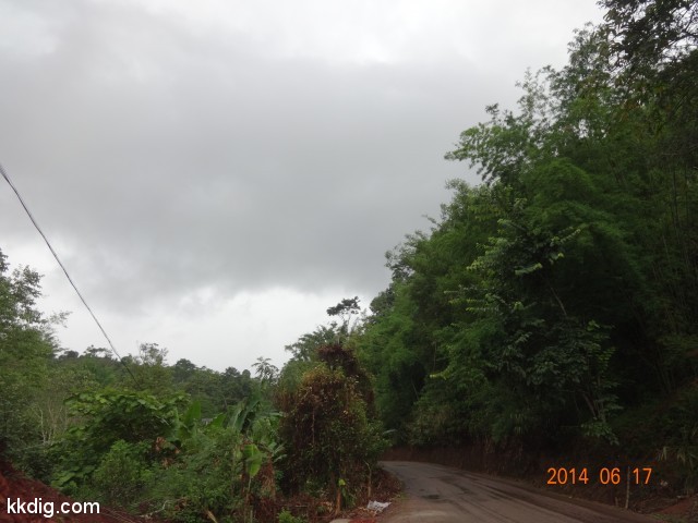 DSC06911