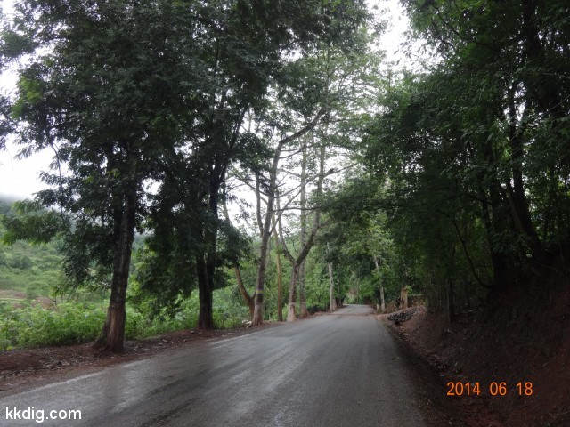 DSC06950