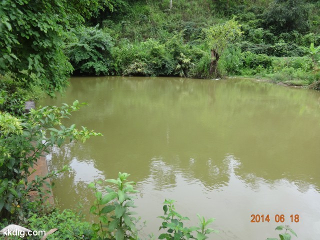 DSC06952