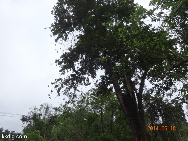 DSC06959
