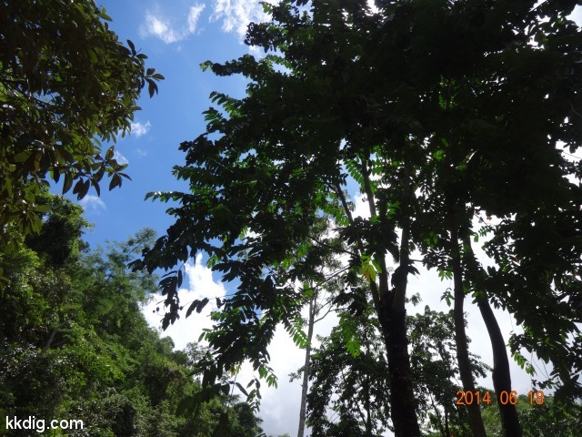 DSC07034