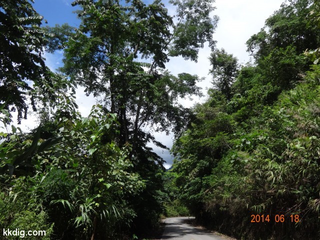 DSC07035