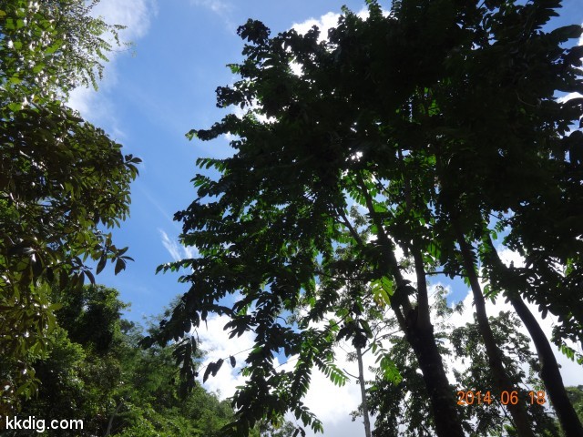 DSC07041