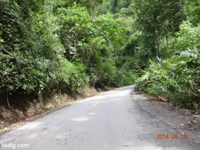 DSC07095