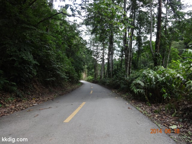 DSC07103