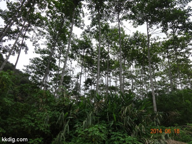 DSC07120