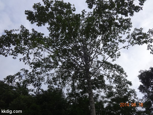 DSC07146