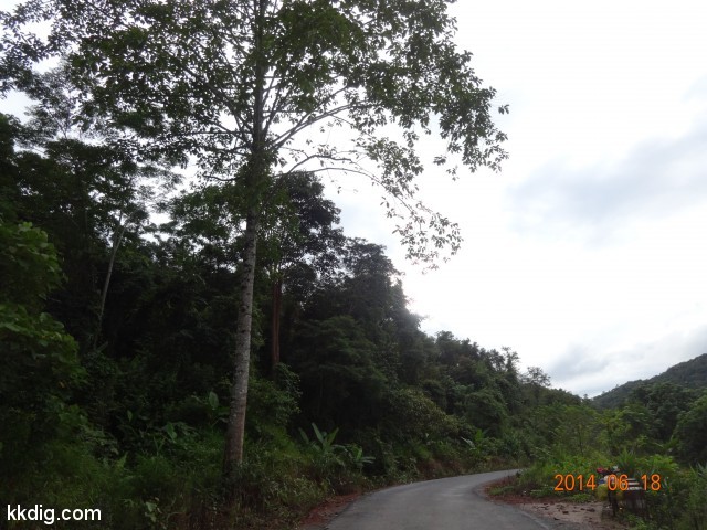 DSC07147
